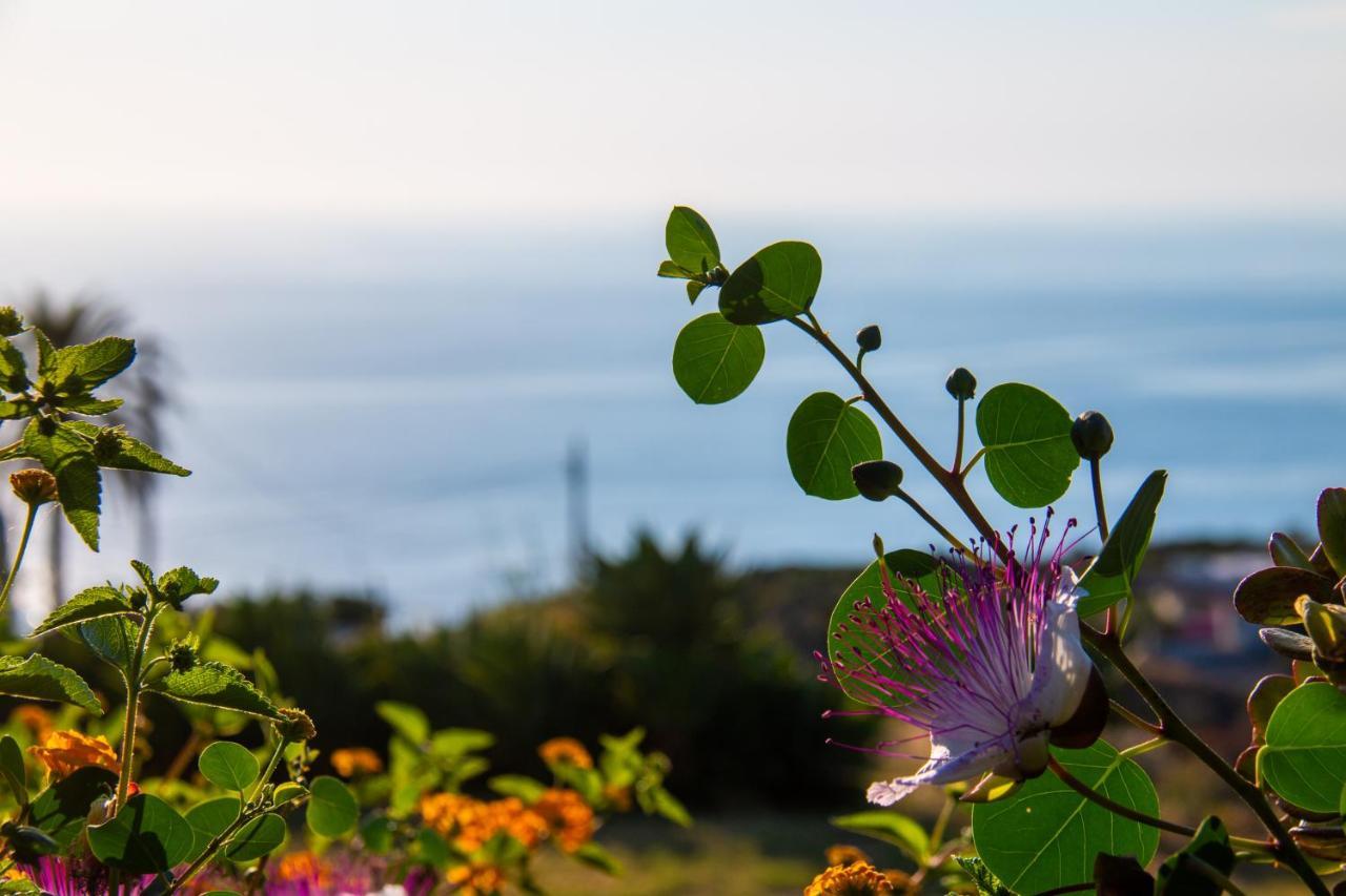 Agriturismo Al Cappero Malfa  Dış mekan fotoğraf